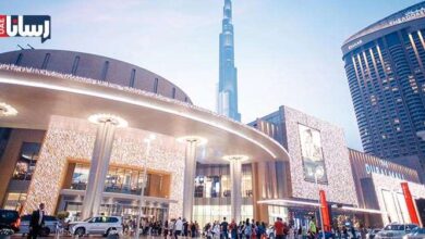 دبی مال و همه چیز درباره آن