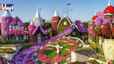 باغ گل دبی، بهشت زیبایی میراکل گاردن دبی