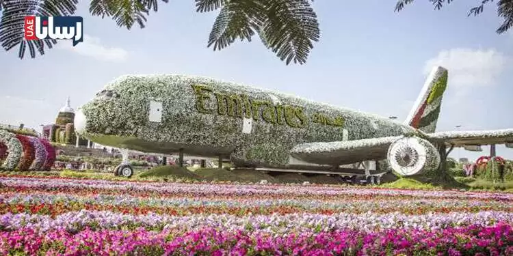 هواپیمای سوپرجامبو ایرباس A380 در دبی میراکل گاردن