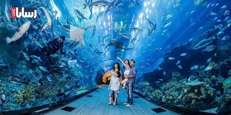 آکواریوم دبی و باغ وحش زیر آب در دبی مال