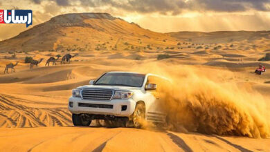 سافاری دبی و همه چیز درباره آن