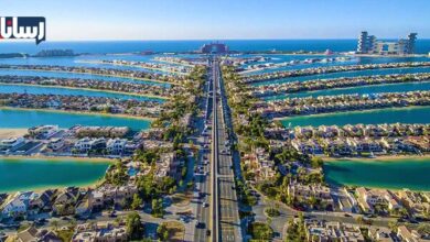 همه چیز در مورد نخل جمیرا یا پالم جمیرا