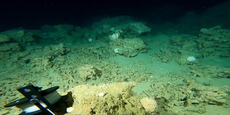 کشف صخره ی مرجانی اسرار آمیز(مریخی) در امارات