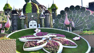 سه جاذبه‌ی توریستی دبی که به‌زودی برای تابستان تعطیل خواهند شد