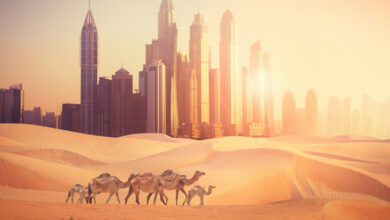 بالاترین دمایی که تا کنون در امارات ثبت شده چقدر است؟