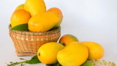 خرید انبه در امارات فقط با 3 درهم