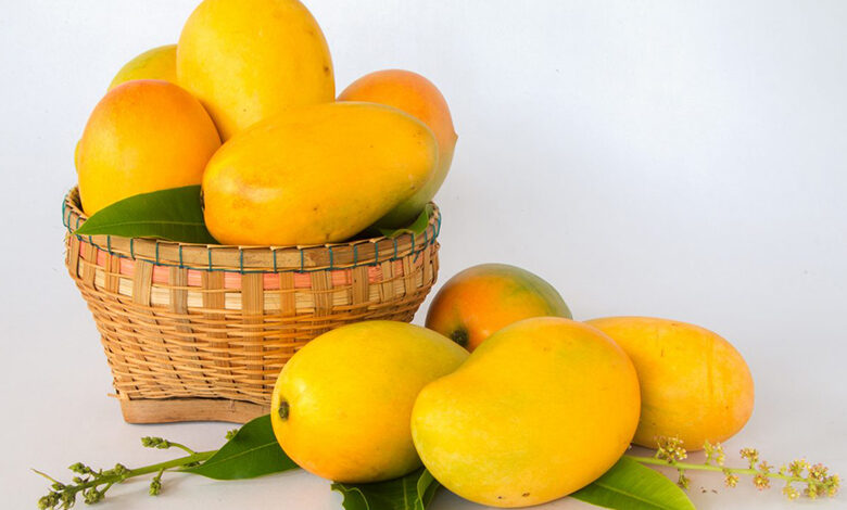 خرید انبه در امارات فقط با 3 درهم