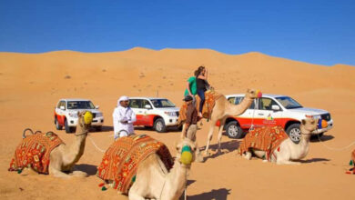 تور سافاری صحرای دبی در تابستان تا 90 درهم هم پایین می آید