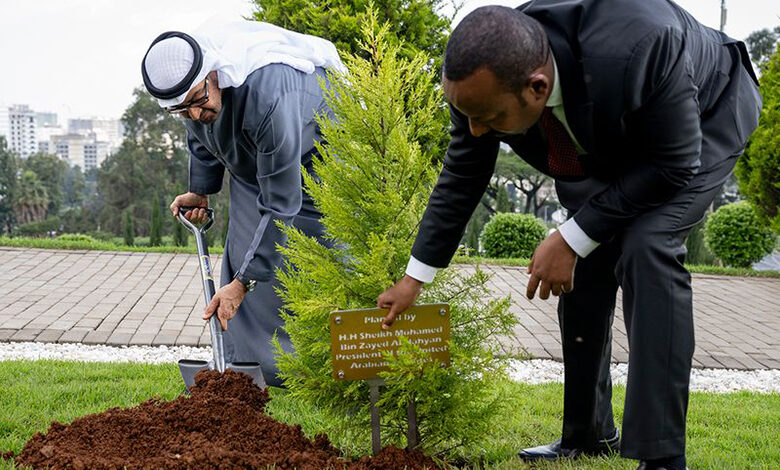 رئیس امارات در حیاط دفتر نخستوزیر اتیوپی درخت کاشت