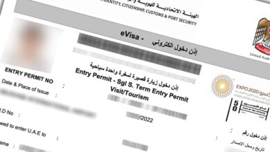 چطور یک نسخه آنلاین از ویزای توریستی را دانلود کنیم؟