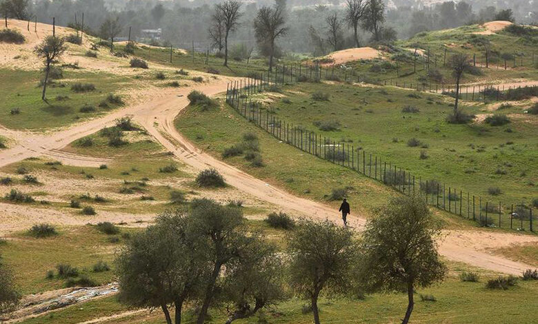 دبی چگونه صحرا را سبز می کند؟