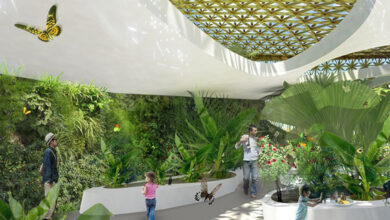 با النور آیلند، خانه پروانه ها در شارجه آشنا شوید