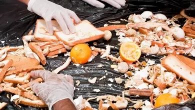 امارات برای دور ریختن غذای خانگی جریمه در نظر خواهد گرفت