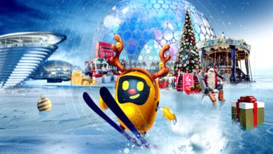 کنسرت موسیقی کریسمسی در اکسپو سیتی