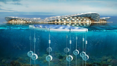 پروژه‌ی بزرگ صخره‌های مرجانی دبی اعلام شد