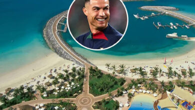 جزیره میلیاردرهای دبی کجاست؟