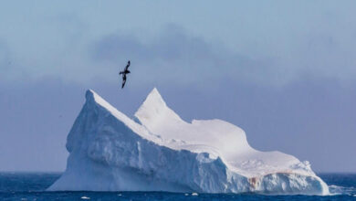 کوه یخ 100 هزار ساله به دبی رسید