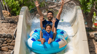 پارک آبی وایلد وادی دوباره از 2 فوریه باز می شود