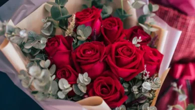 در آستانه‌ی روز ولنتاین، قیمت گل در دبی ۳۰ درصد افزایش یافت