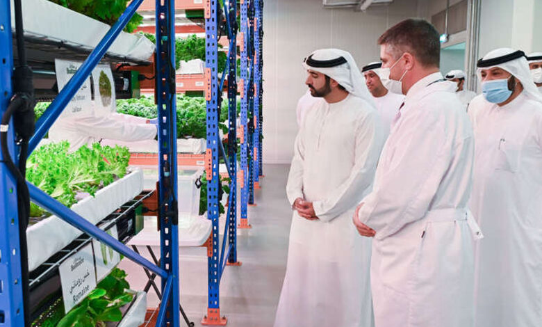 عالیجناب شیخ حمدان طرح مزارع دبی را آغاز کرد