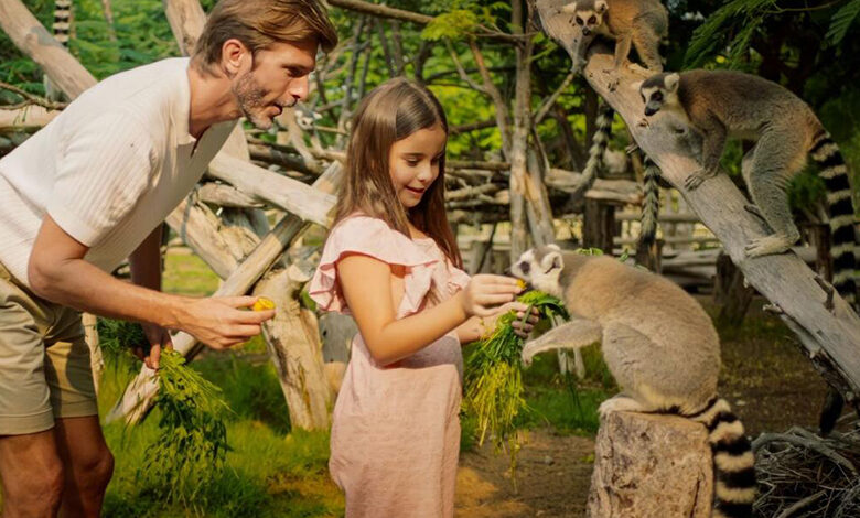 دبی سافاری پارک در تابستان هم باز خواهد بود