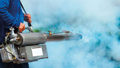 دستورالعمل جامع پیشگیری از تب دنگی