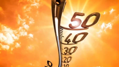 دستورالعمل های محافظت از خود در برابر موج گرما