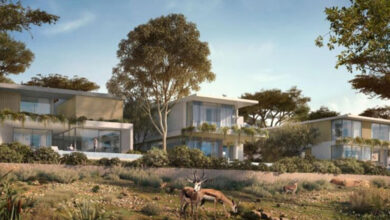 زمین های پروژه مسکونی اکسپو ولی به فروش میرسد