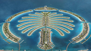 تا 7 ماه آینده 8 شاخه از پالم جبل علی آماده ساخت و ساز می شود