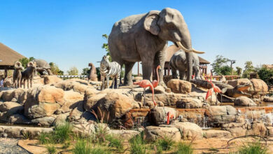 پارک سافاری دبی از اول اکتبر باز خواهد شد