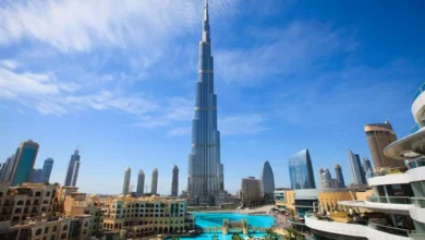 تنها در 1 هفته، جریمه 20 هزار نفر در امارات بخشیده شد