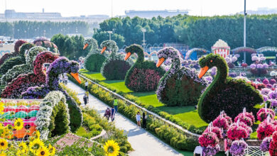 قیمت بلیت چهار جاذبه دبی 5 درهم گران تر شده است