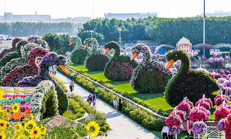 قیمت بلیت چهار جاذبه دبی 5 درهم گران تر شده است