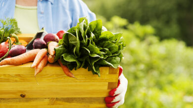 بازار محصولات کشاورزی ارگانیک دبی دوباره شروع می شود