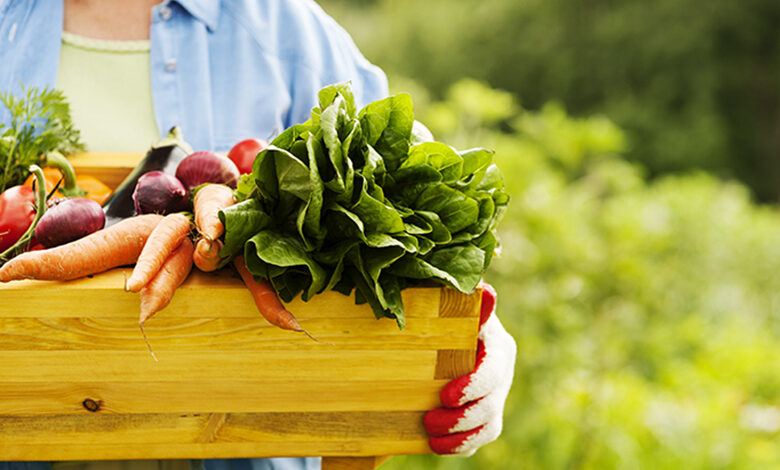 بازار محصولات کشاورزی ارگانیک دبی دوباره شروع می شود