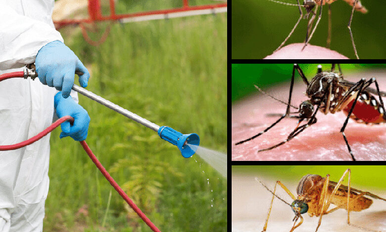 سرویس سم پاشی رایگان شهرداری دبی