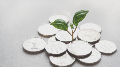 امارات جذب سرمایه های مستقیم خارجی را 3 برابر می کند