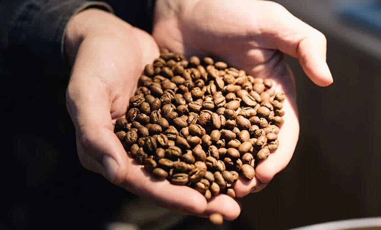 حراج و مزايده قهوه‌های کمیاب، فوریه ۲۰۲۵ در دبى