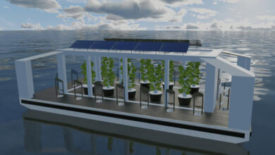 با مزارع جالب و شناور امارات آشنا شوید