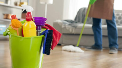 خدمات مربوط به ویزای اقامت کارگران خانگی آنلاین شد