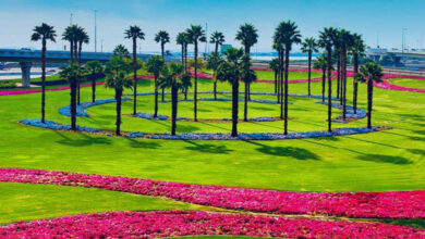 افزایش 57 درصدی فضای سبز دبی در سال 2024