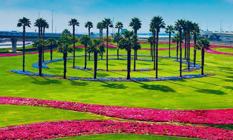 افزایش 57 درصدی فضای سبز دبی در سال 2024