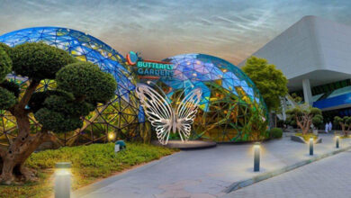 افتتاح باغ بزرگ پروانه ها تا آخر امسال در ابوظبی