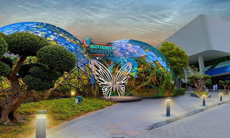 افتتاح باغ بزرگ پروانه ها تا آخر امسال در ابوظبی