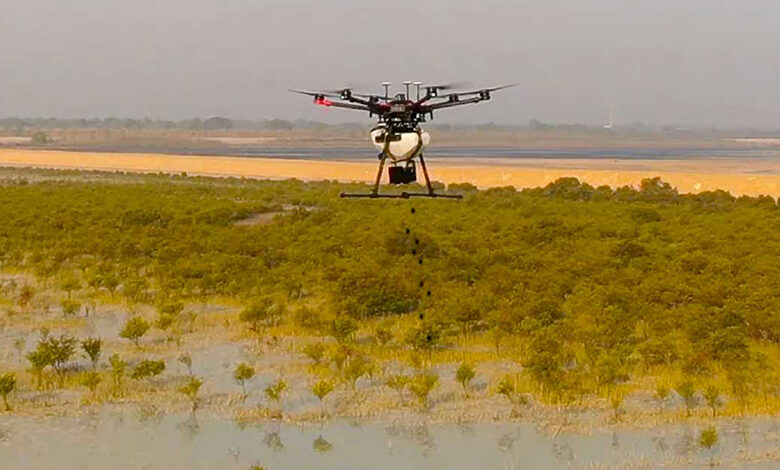 کاشت 6.5 میلیون بذر گیاهان بومی در ابوظبی