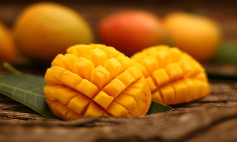 27 ژوئن، شروع می شود جشنواره انبه شارجه