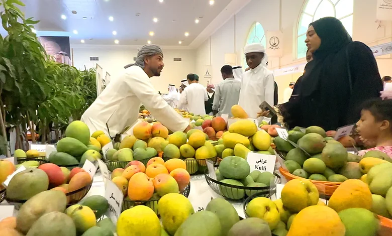 شروع جشنواره انبه در اکسپوی خورفکان